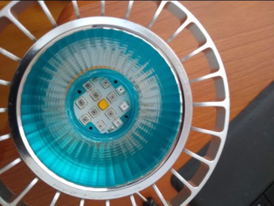LED array inside the white + IR PAR lamp